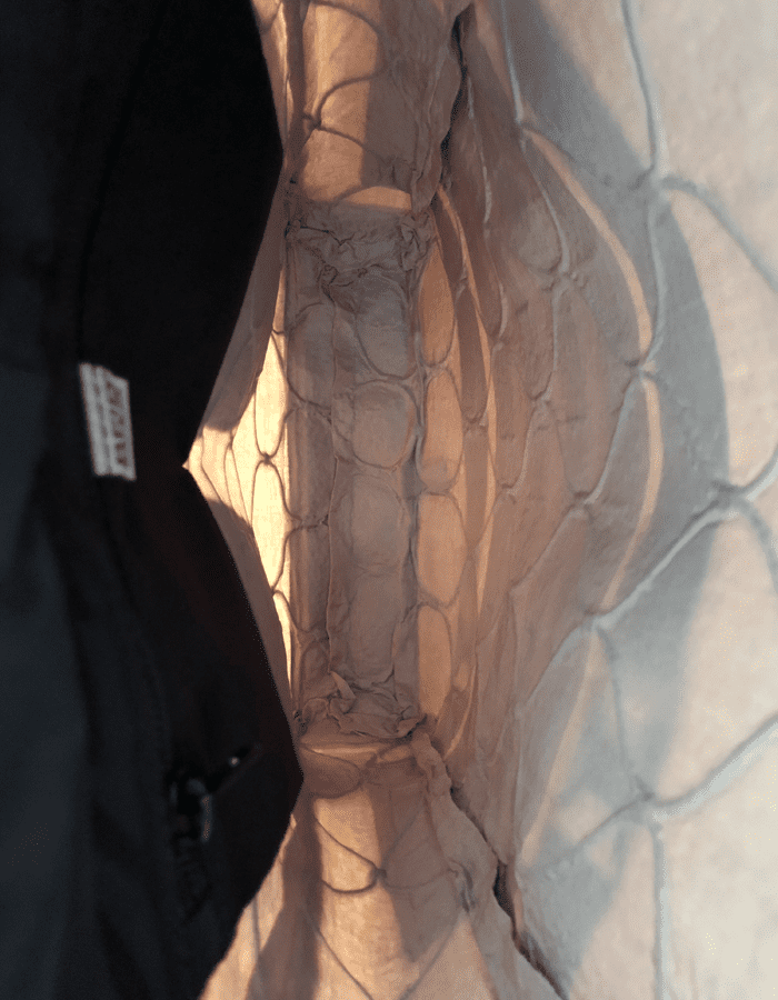 The Rider Daypack - Limited Edition - ANGRY LANE